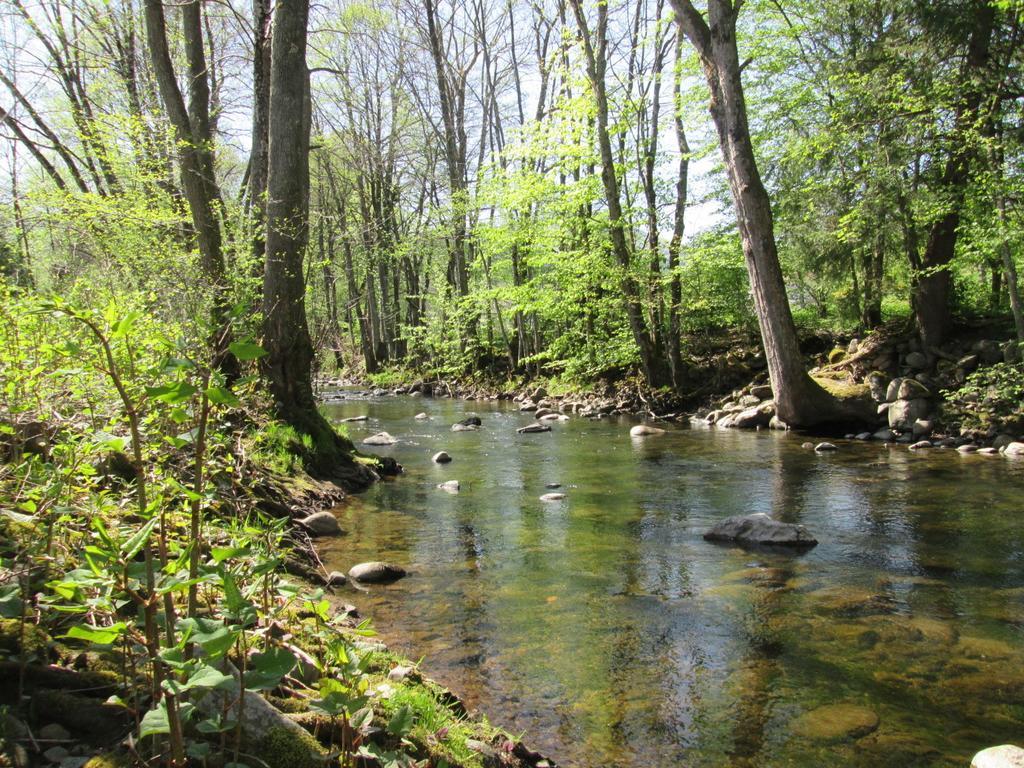 Camping De Masevaux Eksteriør billede